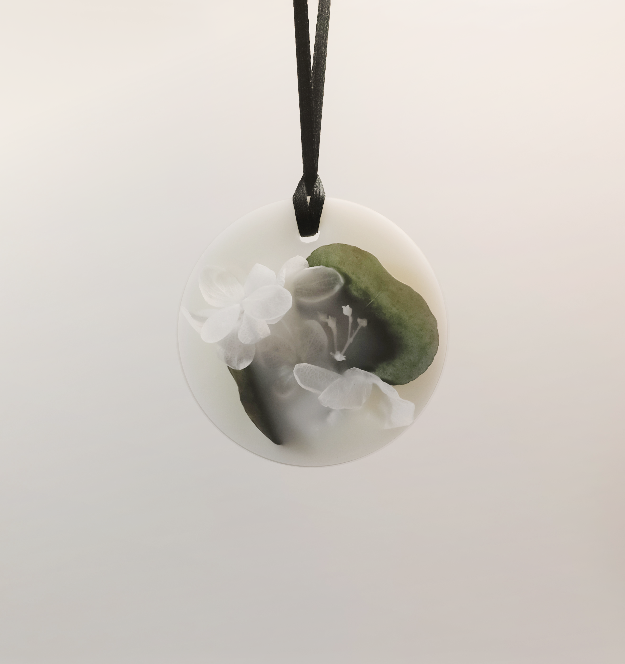 FuFu Botanical Palet Dreamed a Dream